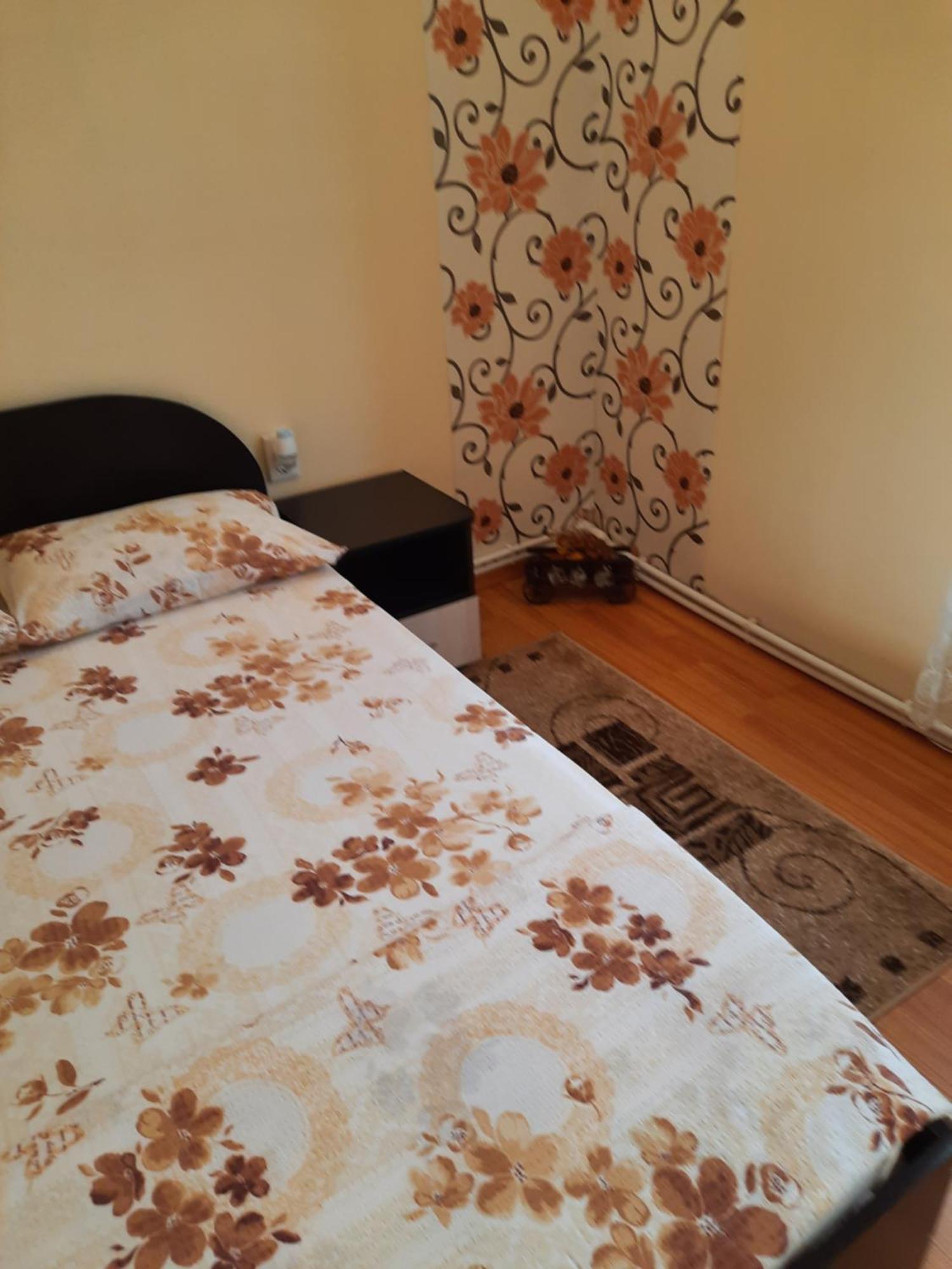 Hotel Casa Ovi Si Simo Haţeg Habitación foto